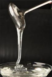 Патока «НьюБио»