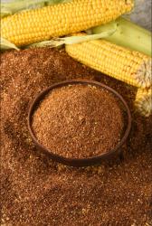 Глютеновый корм «НьюБио»