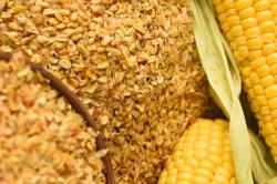 Зародыш кукурузный «НьюБио»