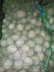 картофель красный