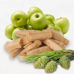 Сосновая шишка