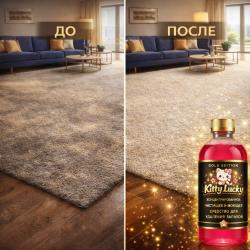 Решает вопрос дорогостоящей Химчистки своими силами!