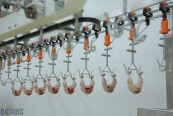 Автоматическая линия разделки