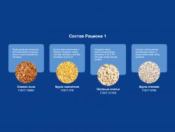 Корм для собак DOGMAX Рацион 1 - состав