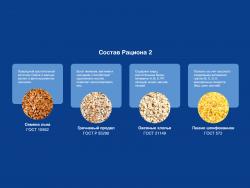 Корм для собак DOGMAX Рацион 2 - состав