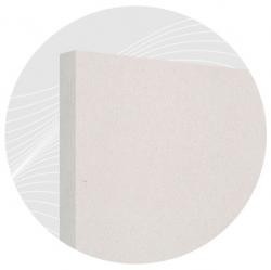 Белый лотос