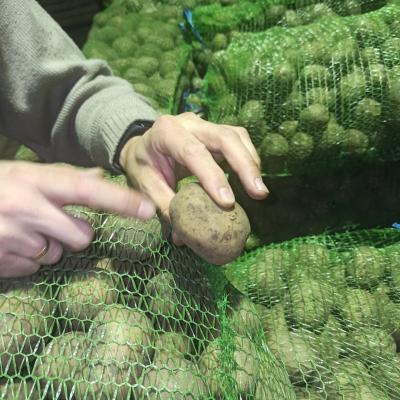 картофель белый