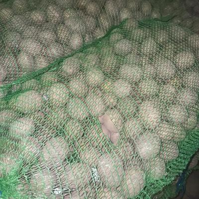 картофель красный