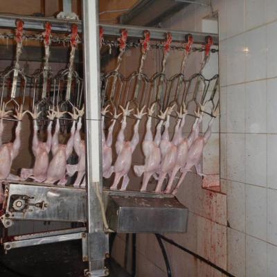 Машина отделения голов (КТБ Маш)