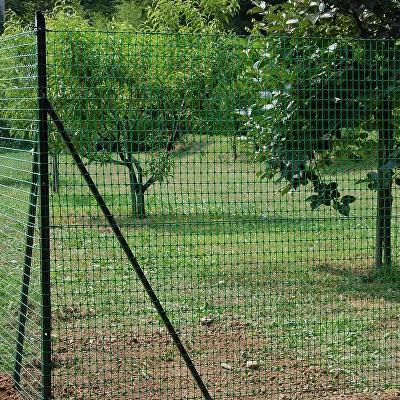 Заборная сетка 