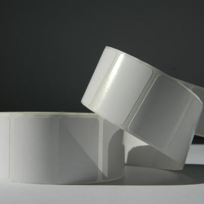 самоклеящаяся термотрансферная этикетка ПЛГ от производителя